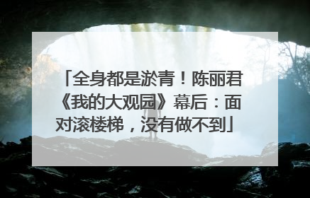 全身都是淤青！陈丽君《我的大观园》幕后：面对滚楼梯，没有做不到